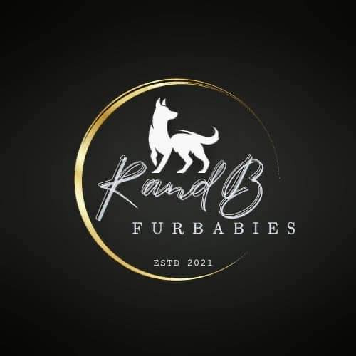 R and B Furbabies logo